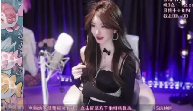 二次元女主播让网友刷礼物,称自己很有投资价值,别的女主播都是直播挣钱,自己只想找对象,网友锐评:都买豪宅了,太贪心了!