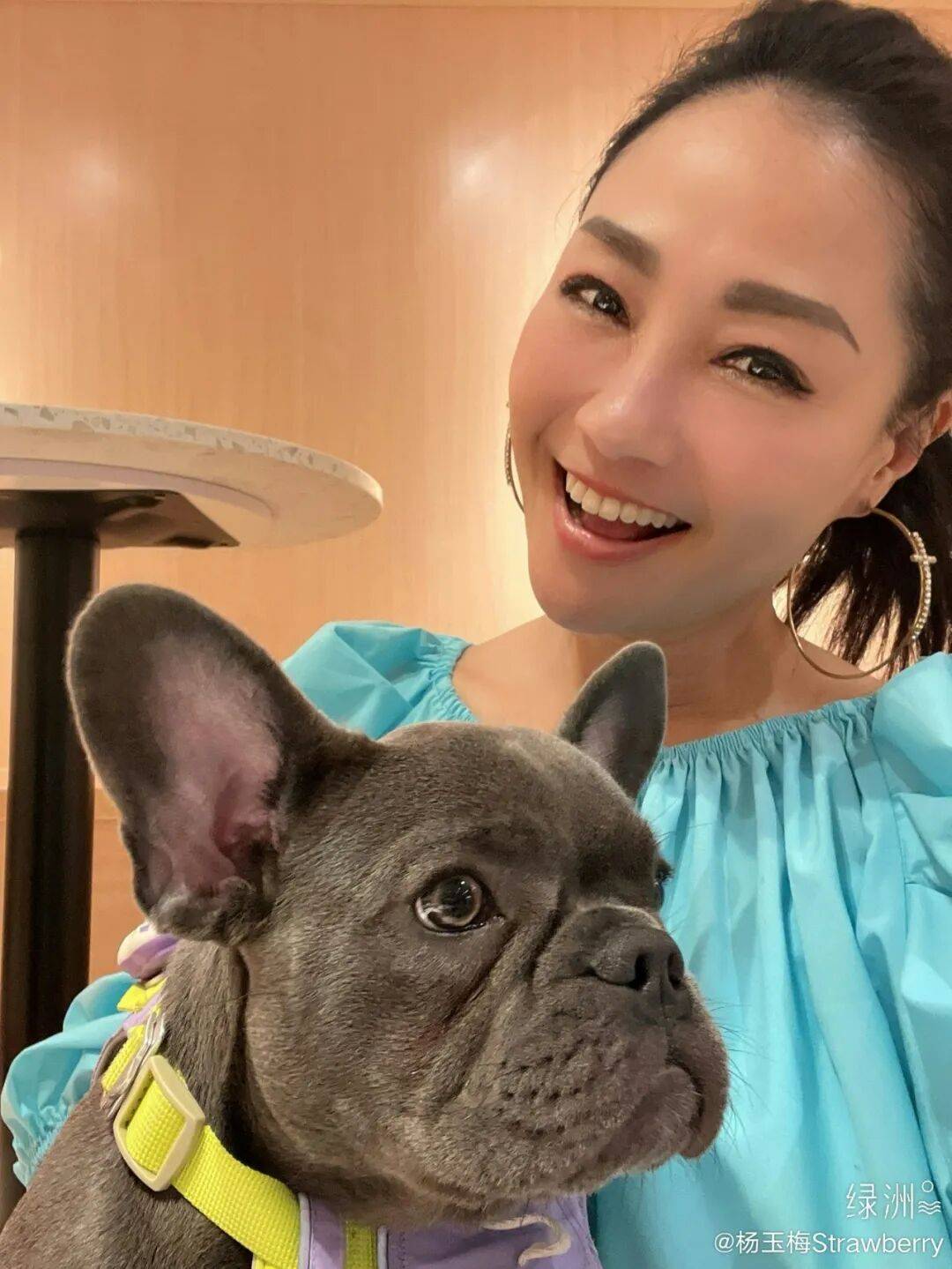 杨玉梅自曝多次遭不合理要求 拒富豪开房被拉黑