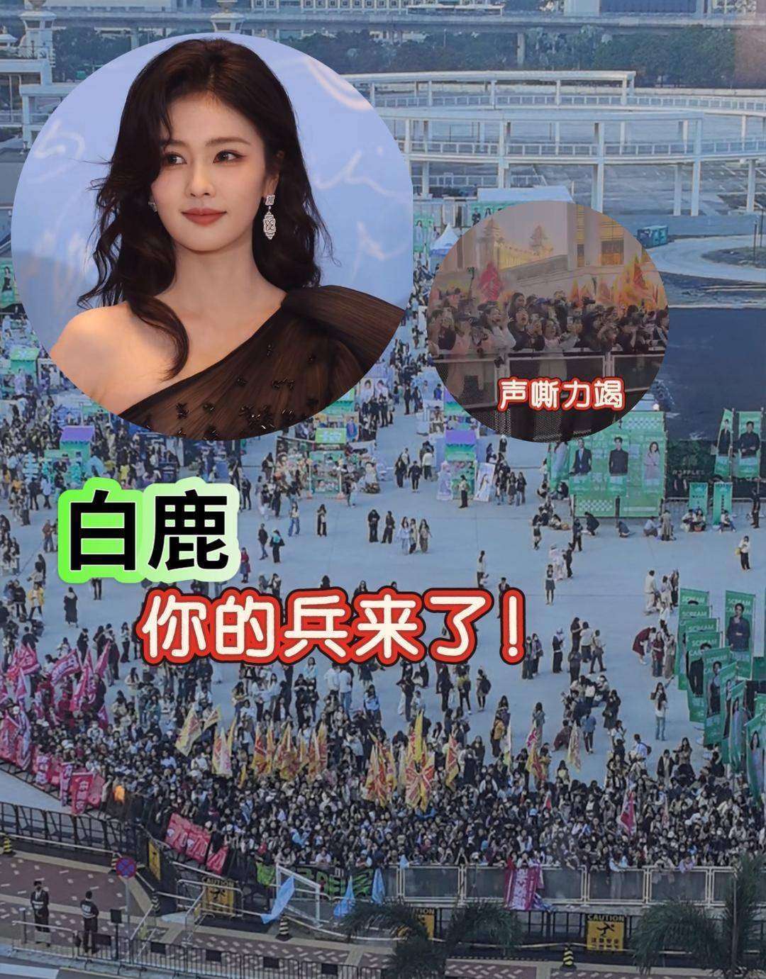 白鹿六连辟谣:学历造假?人设崩塌?真相是