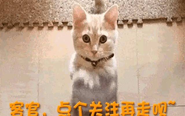 白鹿风波升级:十万红包难掩耍大牌传闻