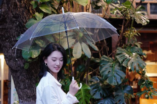 副教授谈网红低俗剧本：封号治标不治本