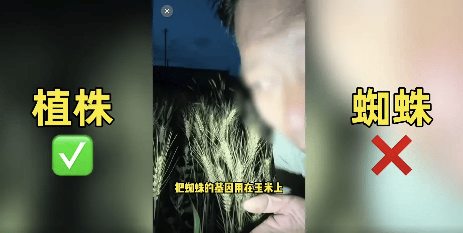 网红造谣袁隆平杂交水稻被封禁：流量背后的丑陋真相